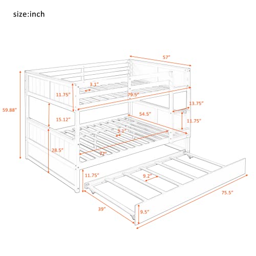 https://m.media-amazon.com/images/I/41Re9Ex477L._SL500_.jpg