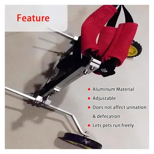 Fauteuil roulant pour pattes arrières paralysées : solution de marche 4 roues