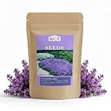 30,000+ Pcs Creeping Thyme Seeds for Planting Low Growing Ground Cover for Sunny Walkways Garden Beds and Open Soil Areas (Purple)