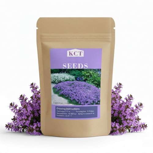 30 000+ Pcs Creeping Thyme Seeds for Planting Low Growing Ground Cover for Sunny Walkways Garden Beds and Open Soil Areas (Purple)