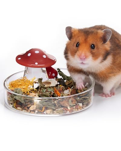 Niteangel Hamster Feeding & Water Bowls- Mushroom Ceramics Series Food Dish Feeding Bowls for Dwarf Syrian Hamsters Gerbils Mice Rats or Other Similar-Sized Small Pets (Feeding Bowl Glass)
