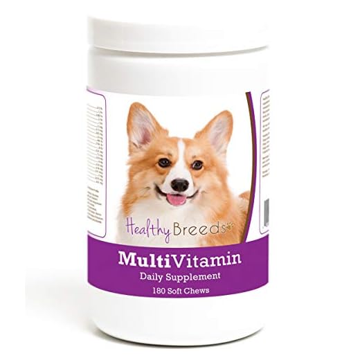 Healthy Breeds Pembroke Welsh Corgi Multivitamin Soft Chew for Dogs 180 Count