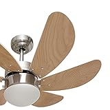 ventilador|techo|haya|mando|delfin