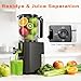 Cold Press Juicer, 5.5inch Wide Feed Chute Juicer Machine, Slow Masticating Juicer for Whole Vegetables & Fruits, Gray