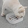 Hifrenchies Healthy Slow Feeding Dog Bowl for French Bulldog -Slow Feeder Dog Bowl No Chocking Dog Cat Food Bowl with Striped Shape Pattern (Grey)