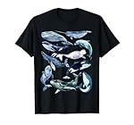 Tipos De Ballenas Carta Animales Del Océano Mamífe...: Esta es una impresionante camiseta que expresa amor por las ballenas y las criaturas oceánicas. Cuenta con una ballena azul, ballena de aleta, ballena gris, orca, narval, ballena beluga, ballena jorobada, ballena Sei y más. Si tienes un animal oceáni...