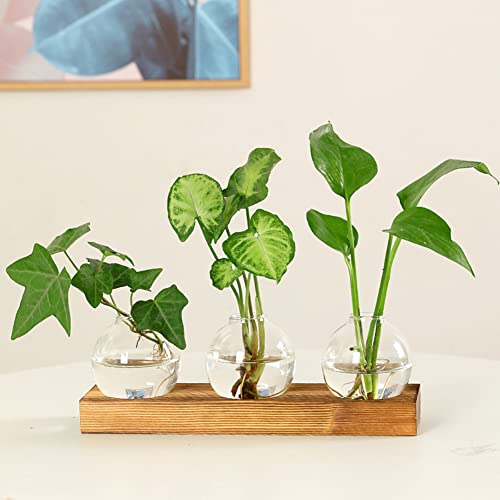 Desktop Round Glass Planter Terrarium Flower Vase With Wooden Stand For Propagating Hydroponic Plants Home Garden Office Decor (Style1) #TOP2