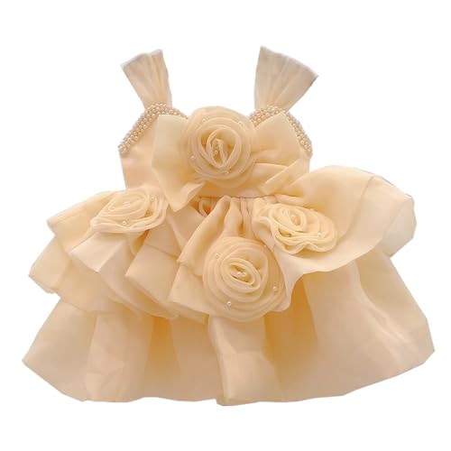 [SAIHIME] qhX K[Y ݂XJ[g t[K[ xr[hX Zj[hX tH[} p[ s[X {Q \  t a v[g zCg 80