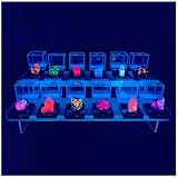 Ultimate Fluorescent Minerals Collection