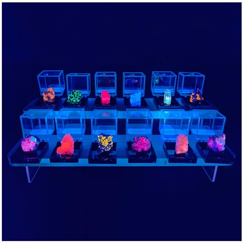 Ultimate Fluorescent Minerals Collection, 12 Rare Glowing Stones Set with UV Flashlight and Display Stand, STEM Geology Science Gift for Students and Collectors