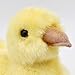 Hansa Plush Chick Duck 6