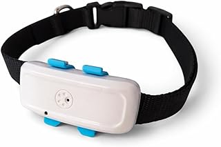 TKSTAR TK911 4G LTE GPS Halsband Hund Katze Tier Tracker Peilsender + wasserdicht 700mAh Akku/Nur 41g / Live-Tracking ohne Vertrag