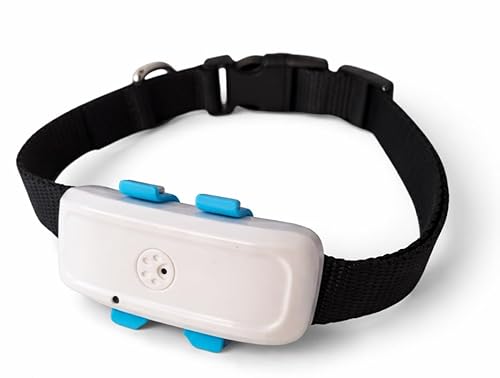 TKSTAR TK911 4G LTE Collier GPS pour chien chat animal