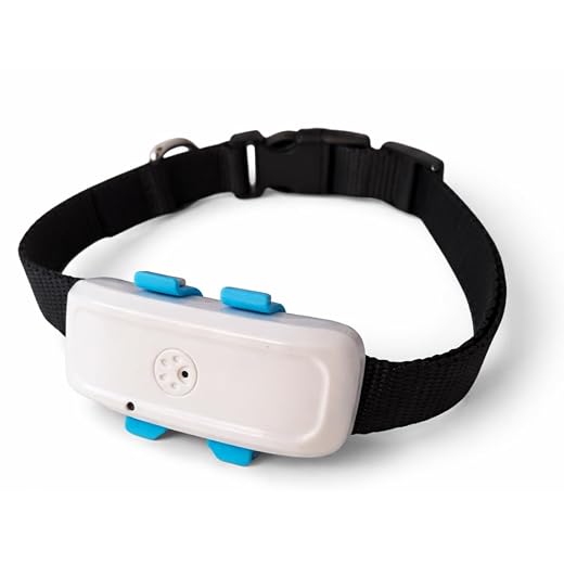TKSTAR TK911 4G LTE GPS Halsband Hund Katze Tier Tracker Peilsender + wasserdicht 700mAh Akku/Nur 41g / Live-Tracking ohne Vertrag