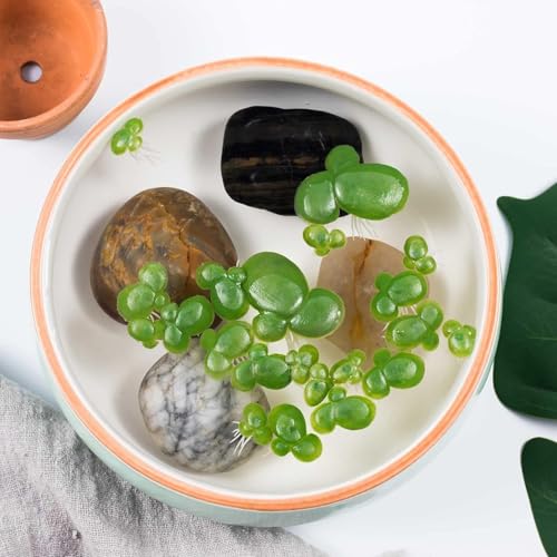 Caelura 3 Packs/ 54 PCS Künstliche Wasserlinsen, Schwimmpflanzen Miniteich Deko, Künstliche Wasserpflanzen Miniteich für Teich Fischtank Aquarien