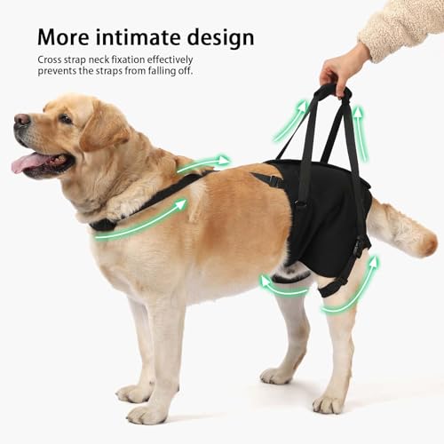 Image of NOYAL Dog Lift Sling for Large Dogs - Hind Leg Support Harness for Senior, Injured, Disabled Dogs, Rear Leg Mobility Aid, Padded Handle for Stairs, Car, Walk