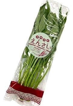 【冷蔵便】空心菜/空芯菜/エンサイ/千葉県産/約10kg入/業務用 ee69e37d096041b944bdc25198014b