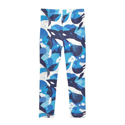 Killer Whale on Blue Kids Girl's Legging Comfortable High Waisted Lounge Pants Exercise2