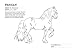 Horse and Pony Colouring Book