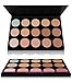 SHANY The Masterpiece 15 Color Foundation, Concealer, Camouflage Palette - TONED