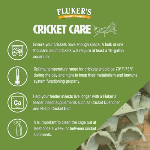 Fluker\'s Live Crickets, 1000 Count Feeder Insects for Reptiles, Chickens, and Birds, Medium (Approx. 1/2\")