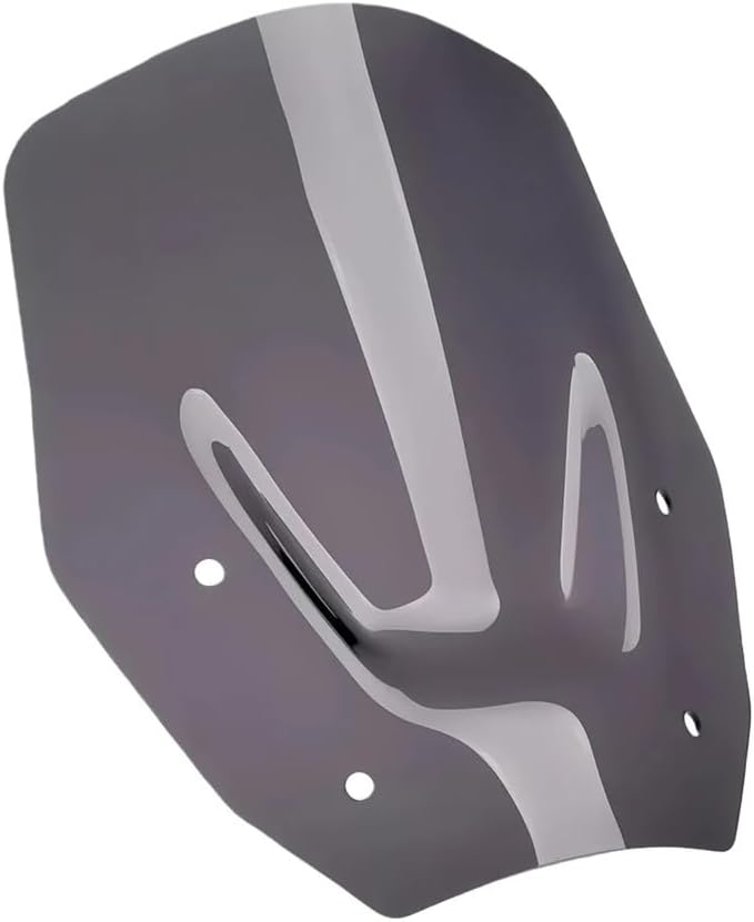 Windscreen Motorcycle Accessories Front Windshield Wind Deflectors Spoiler for R 1300 GS R1300GS R1300