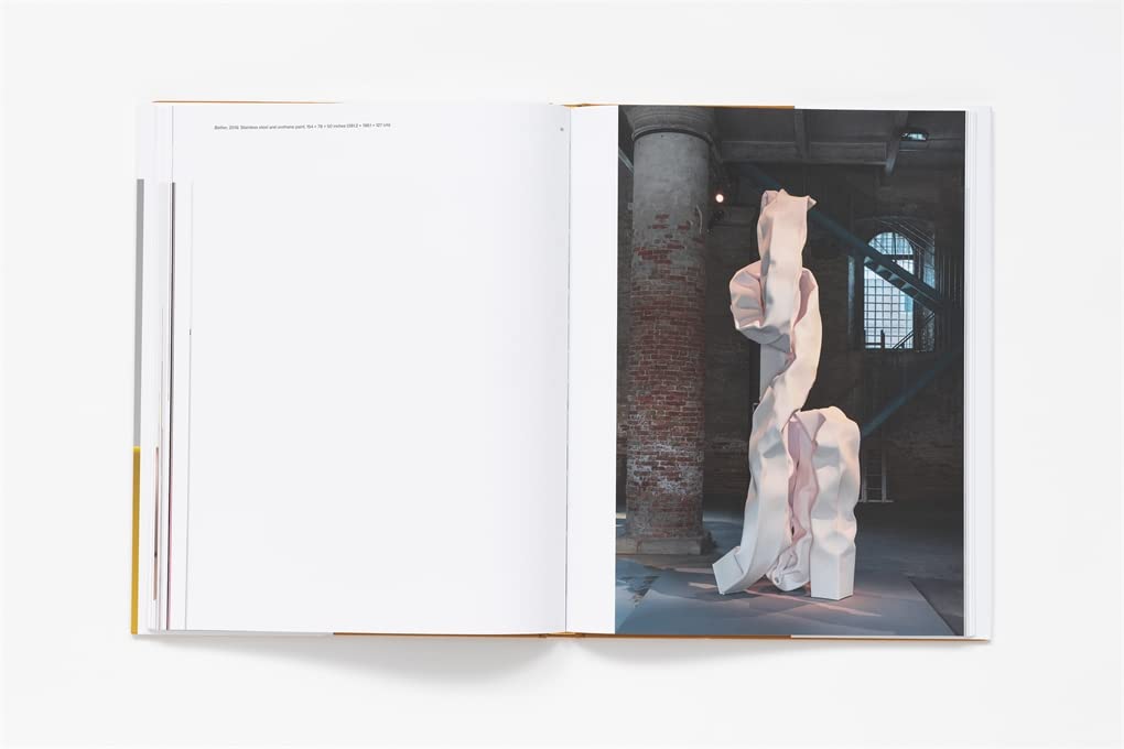 Carol Bove: Collage Sculptures