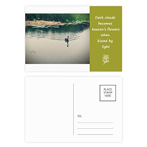 Cartes postales poésie de la nature et canards sauvages multicolores