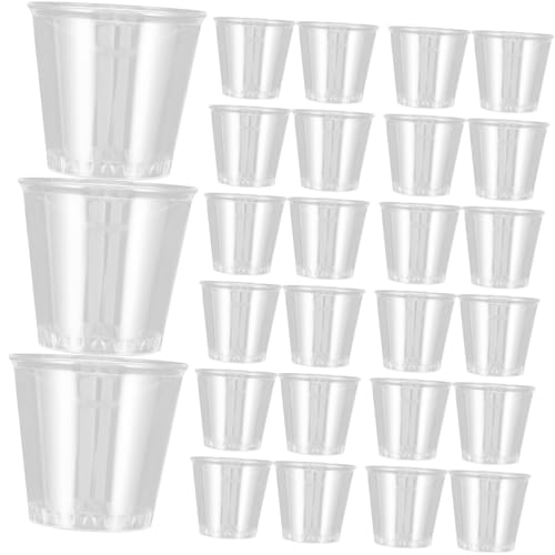 SAFIGLE 100ĝĈJbv pe XibNHp~jOX R[q[ gΉNAvX`bNe