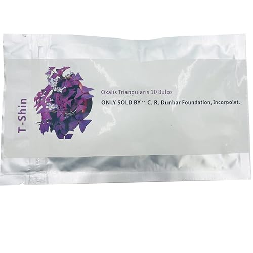 Oxalis Triangularis 10 Bulbs Purple Shamrocks Lucky Lovely Flowers Bulbs Grows For Garden And Pots #TOP1