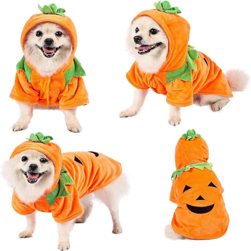 Vêtement chien Halloween citrouille, déguisement cosplay, grand
