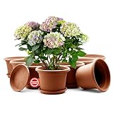 BigDean 8 Stück Blumentopf mit Untersetzer rund ø 20 cm Terrakotta– wetterfester Pflanzkübel Made in Europe