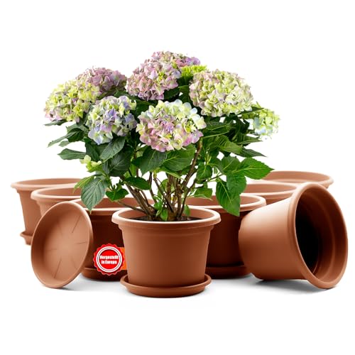 BigDean 8 Stück Blumentopf mit Untersetzer rund ø 20 cm Terrakotta– wetterfester Pflanzkübel Made in Europe BigDean 8 Stück Blumentopf mit Untersetzer rund ø 20 cm Terrakotta– wetterfester Pflanzkübel Made in Europe