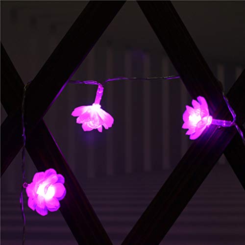 OSALADI 6 M 40 LEDs Cordão de Lótus Luz Flor Realista Decoração Romântica para Festa Banquete Galeri