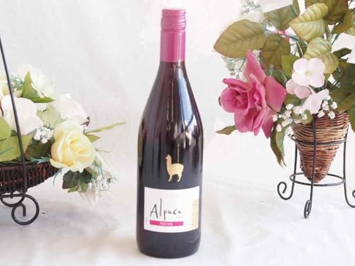 `CT^ wi ApJ sm m[ ~fBA{fBԃC 750ml×1{