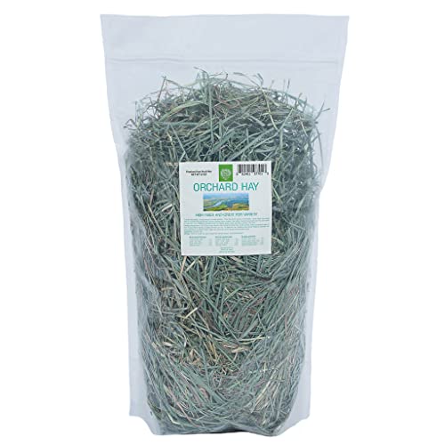 Small Pet Select Orchard Grass Hay Pet Food For Rabbits, Guinea Pigs, Chinchillas And Other Small Animals, Premium Natural Hay Grown In The Us, 12 Oz #TOP13