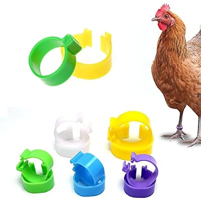 100 Pcs 16mm Plastic Chicken Leg Rings Poultry Foot Bands Chicken Identification Tags for Ducks Chicks
