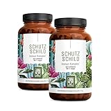 Immunsystem-Komplex - 500mg Echinacea mit Vitamin C Zink Selen L-Histidin & Kalmegh - Immunsystem stärken * vegan & ohne Zusätze - 240 Echinacea Purpurea Kapseln für 120 Tage
