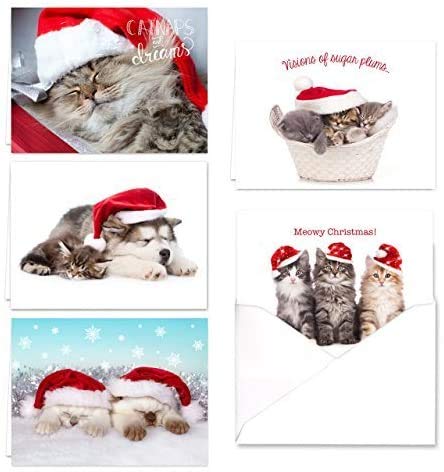 Christmas Cats Holiday Card Assortment Pack / 25 Seasonal Kitten Greeting Cards And Envelopes / 5 Sleeping Santa Animal Designs And Christmas Messages