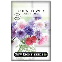 Sow Right Seeds - Polka Dot Mix Cornflower Seeds for Planting - Non-GMO Heirloom Packet with Instructions, Plant an Outdoor Flower Garden - Fast Growing Bachelors Buttons - Colorful Annual Blooms 1