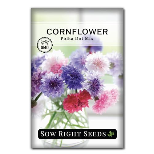 Sow Right Seeds - Polka Dot Mix Cornflower Seeds for Planting - Non-GMO Heirloom Packet with...