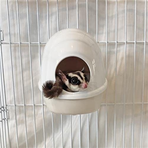 Exotic Nutrition Press 'N' Slide Feed Station - Durable Mounted Food Bowl Dish - Sugar Gliders, Squirrels, Prairie Dogs, Degus, Marmosets, Parrots, Birds, Rats, Hamsters, Gerbils & Other Small Pets…  thumb #5