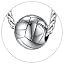 04. Volleyball-Silver