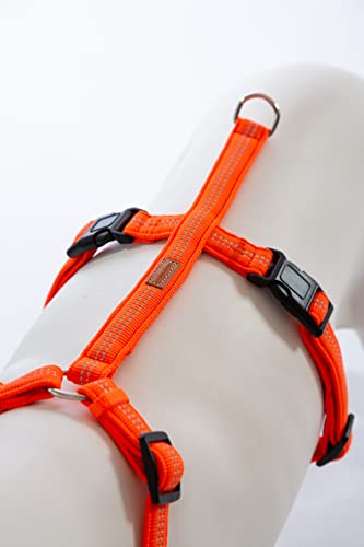 Feltmann Hundegeschirr Mantrailing/Suchgeschirr Basic - Laufgeschirr, Joggergeschirr - Super Soft, Neonorange, reflektierend, Bauchumfang 40-60 cm, 15 mm Bandbreite