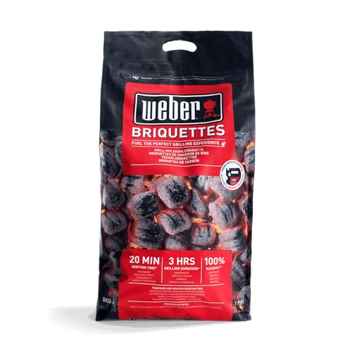 Weber 17591 Briketts 8kg
