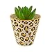 Produktbild Sass & Belle Leopard Print Planter