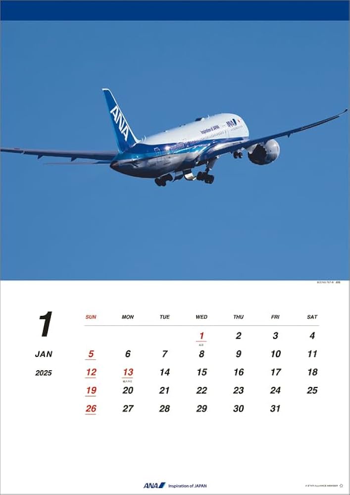ANA 787 ポスター ANA 787 ポスター