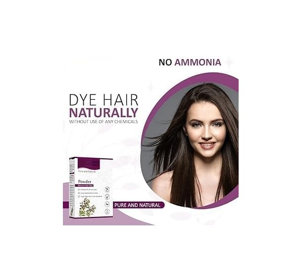 DIIX Naturals Indigo and Powder for Hair (400 Grams Total)