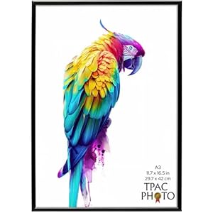 The Photo Album Co BACKLOADER A3 Black Poster Frame Acrylic (Non-Glass) Pack of 1