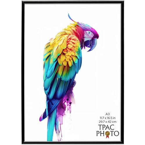 The Photo Album Co BACKLOADER A3 Black Poster Frame Acrylic (Non-Glass) Pack of 1